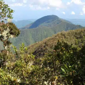 Blue Mountains Jamaica