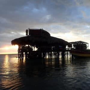 Pelican Bar - Jamaica