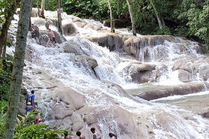 Dunn’s River Falls and Martha Brea Bamboo rafting with admissions